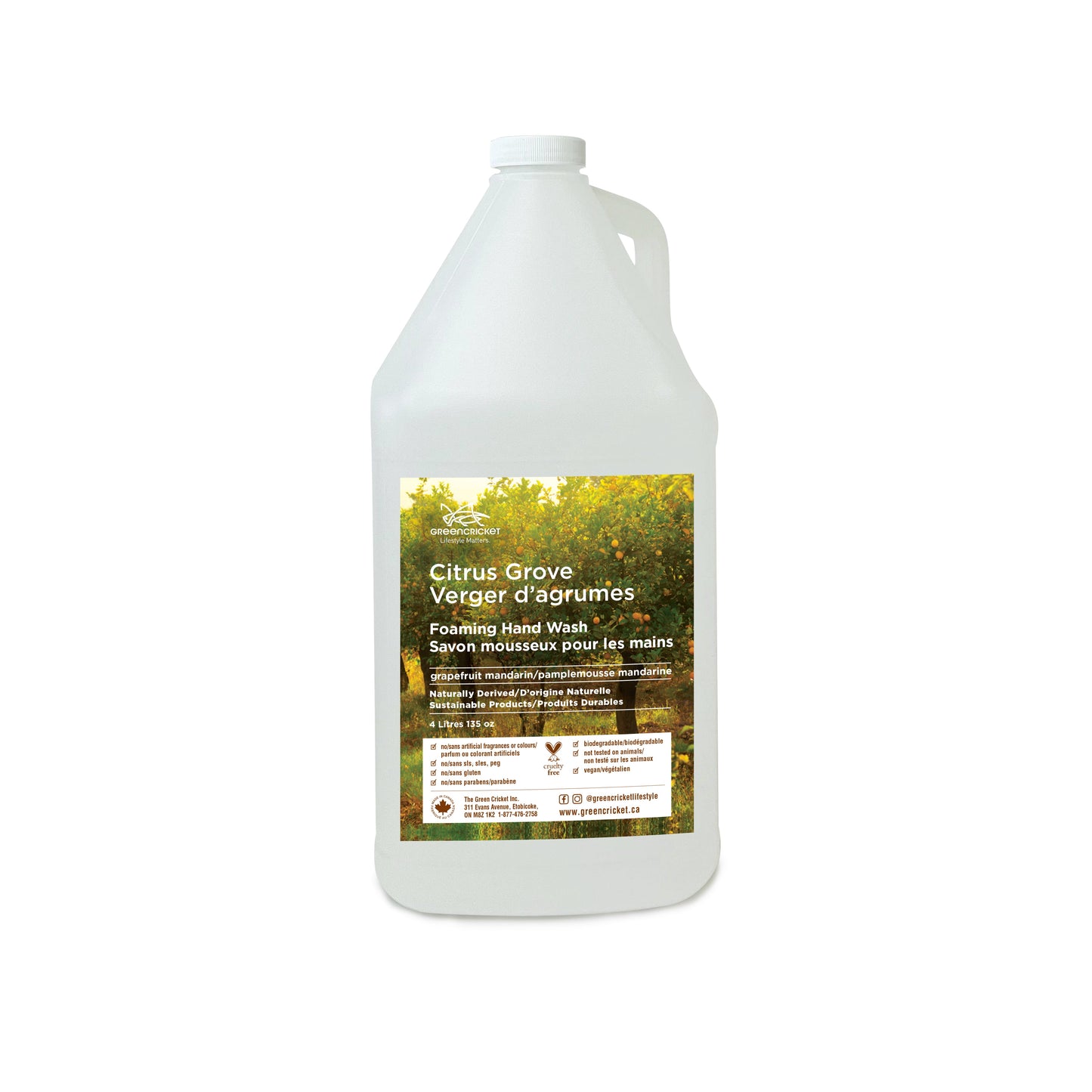 Citrus GM Foaming Hand Wash (Dilute)