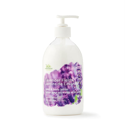 Hand & Body Lotion - C